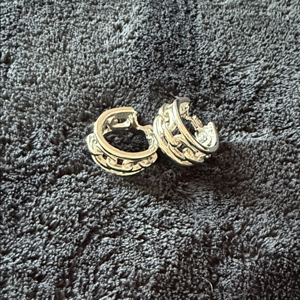 Elegant Silver Hoop Earrings